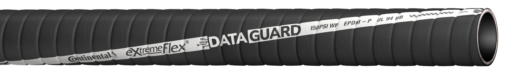 ExtremeFlex Data Guard